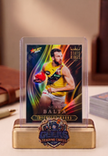 THE TIGER KING (BUT BETTER) ��� NOAH BALTA 2024 STATS KINGS (SK67) AFL