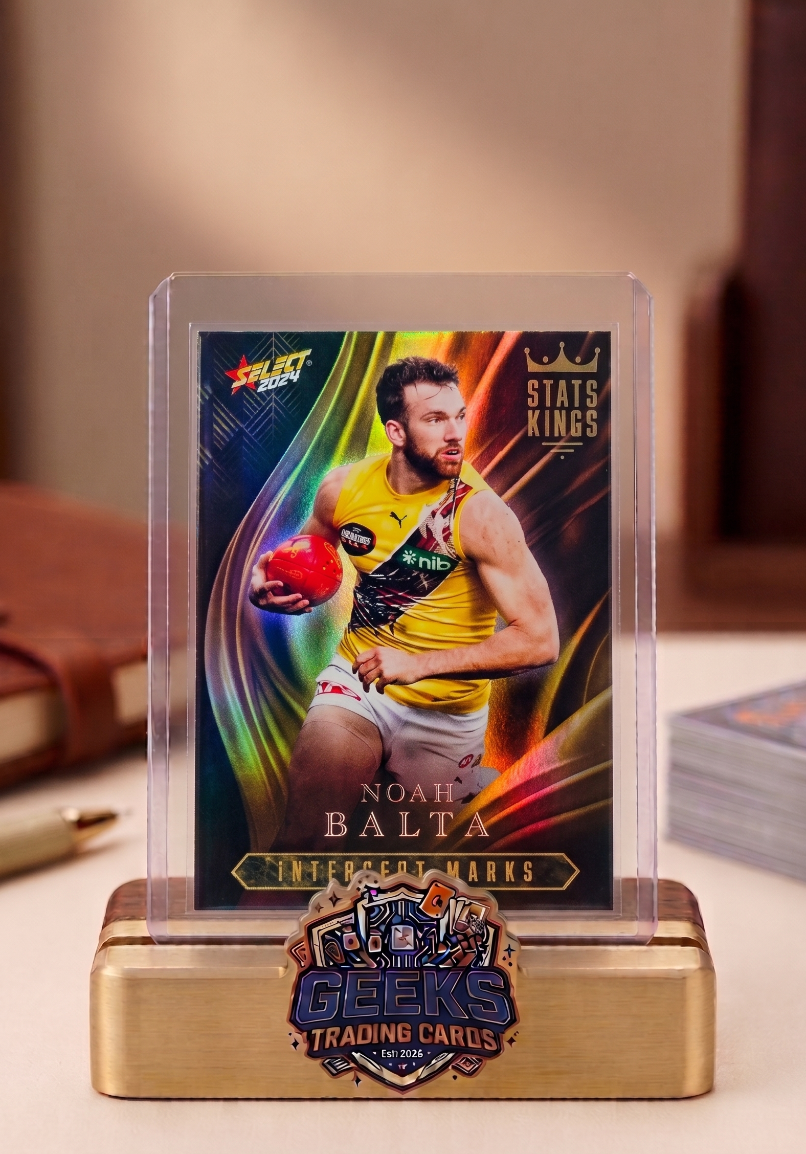 THE TIGER KING (BUT BETTER) ��� NOAH BALTA 2024 STATS KINGS (SK67) AFL